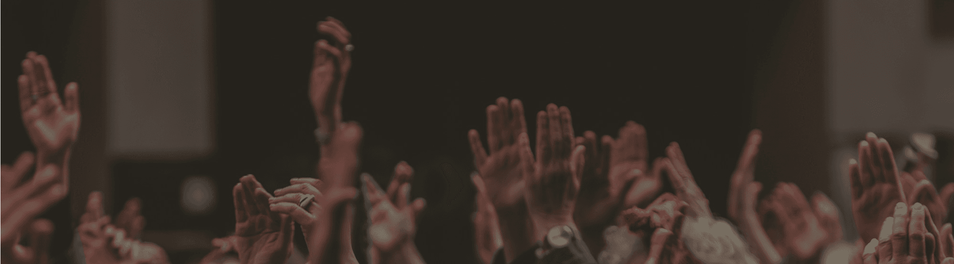 Audiencia celebrando logros de feelink us