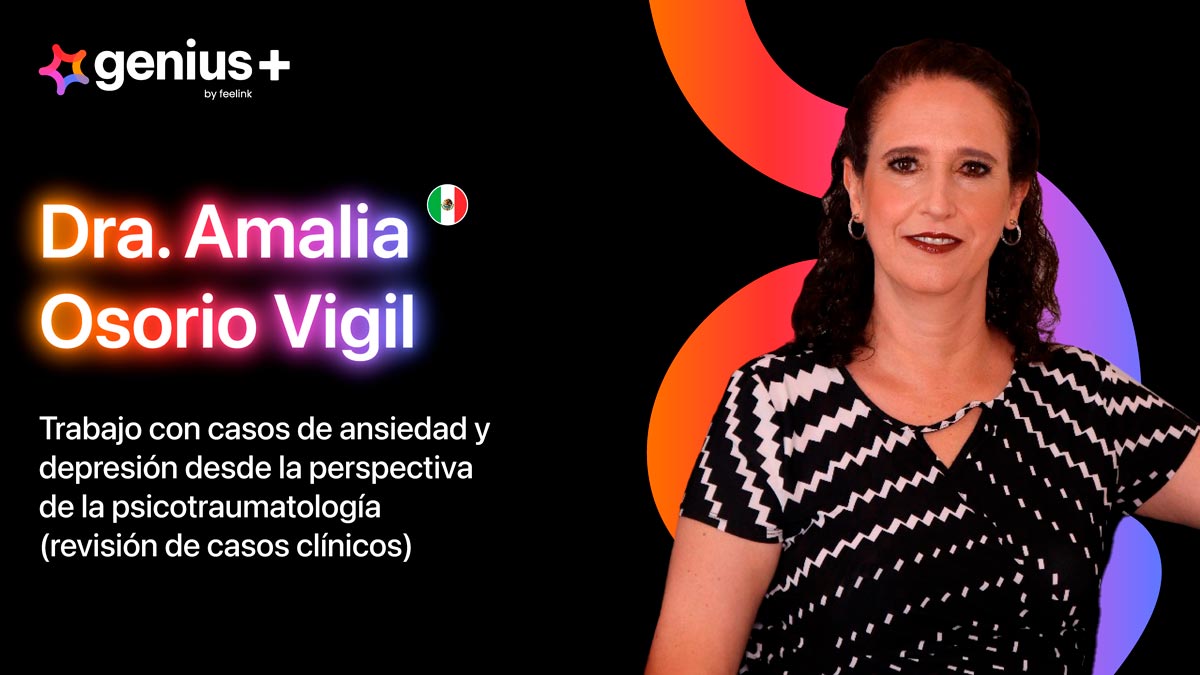 Imagen carrusel