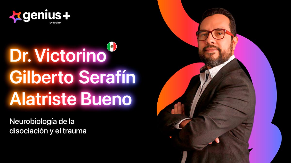Imagen carrusel