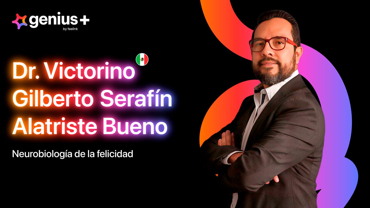 Imagen carrusel
